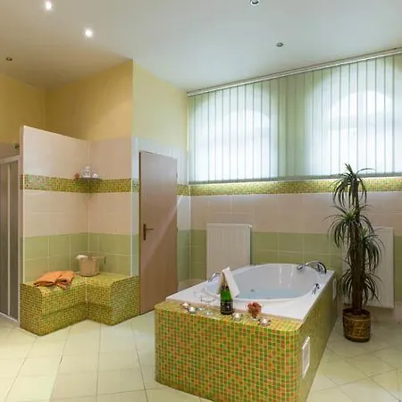 U Hrabenky Guest house *