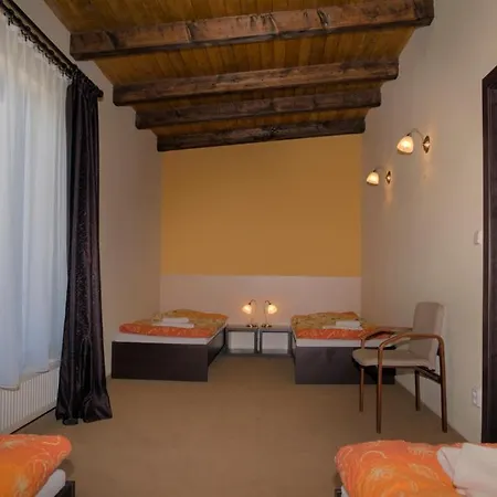 U Hrabenky Guest house Petrovice (Znojmo)