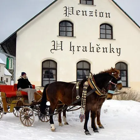 Guest house U Hrabenky *