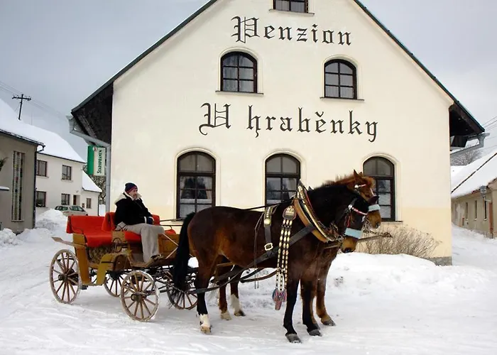 Pensión U Hrabenky 3*
